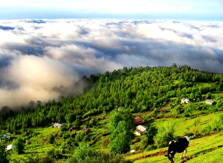 تور گردشگری چهار روزه مازندران